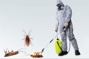 رش مبيدات ومكافحة حشرات