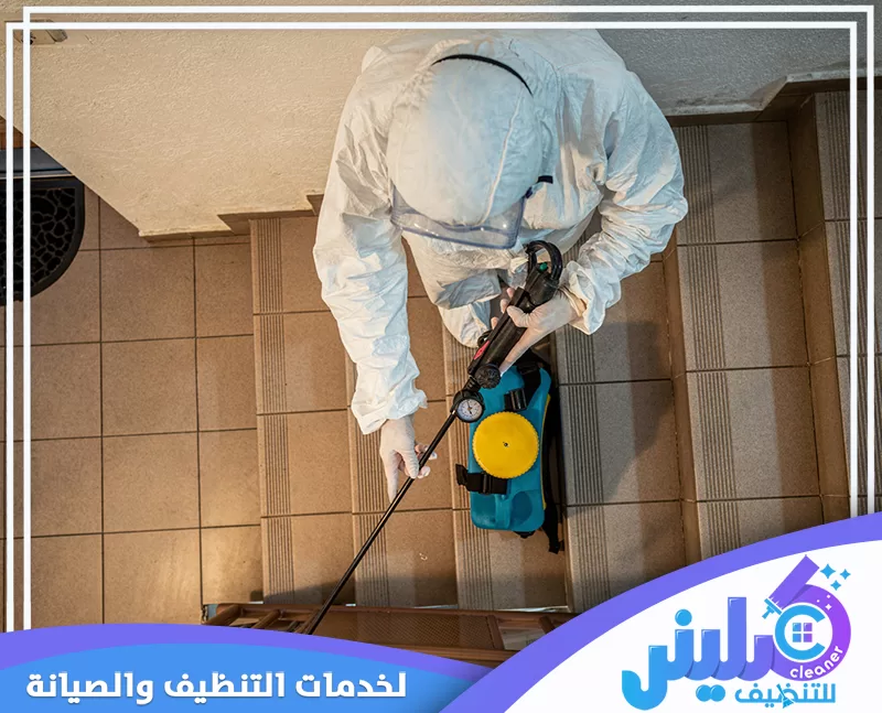 مكافحة الصراصير ومعالجة أماكن انتشارها داخل المنزل