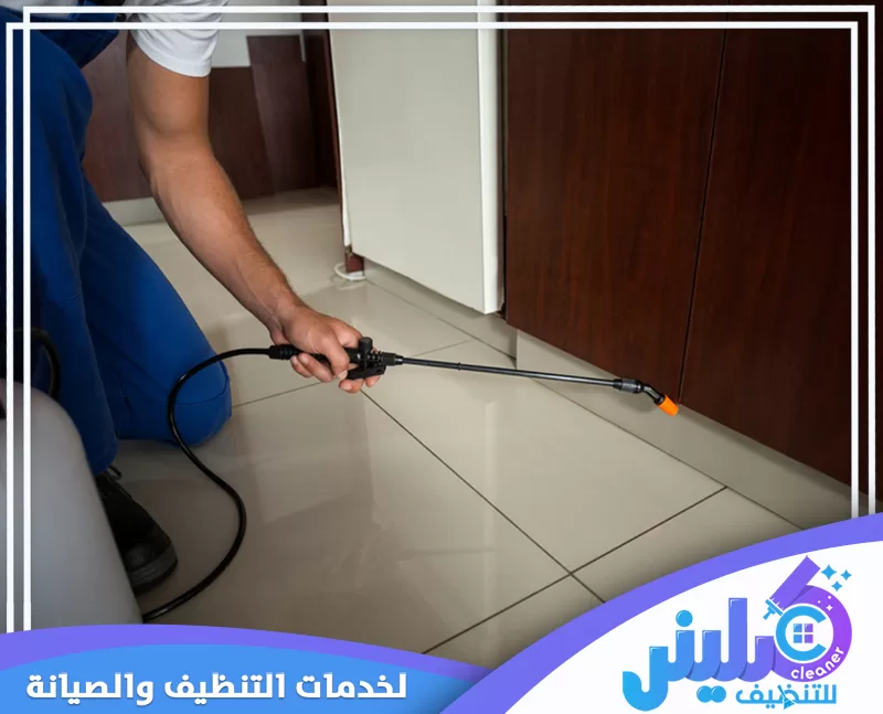 معالجة مشاكل النمل الأبيض وحماية الأثاث والمنشآت