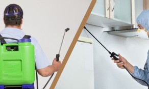 شركة مكافحة حشرات بالجبيل خصم 40%