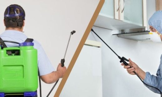 شركة مكافحة حشرات بالجبيل خصم 40%