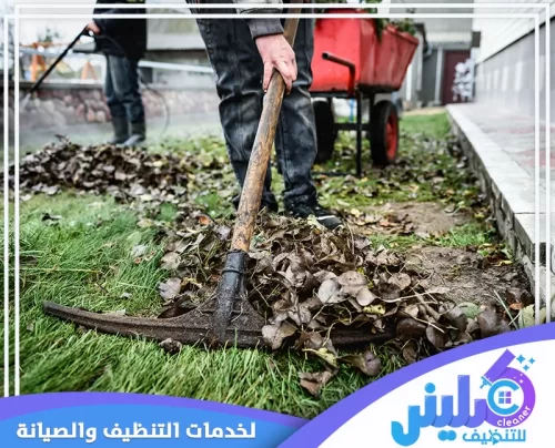 عملية تنظيف وجمع الأوراق المتساقطة بفعالية عالية. فريقنا مجهز لإزالة جميع مخلفات الحديقة والعشب الجاف بأدوات متخصصة، لضمان أرضية نظيفة وصحية لنمو العشب. ننهي العمل في كلينر للتنظيف 0500892799 بالتخلص الآمن من جميع المخلفات.