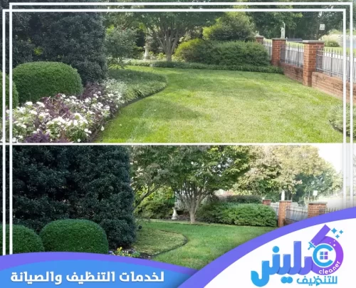 خدمة قص وتشذيب العشب والشجيرات الاحترافية في الرياض. نحول المساحات الخضراء العادية إلى حديقة منسقة تمامًا، عبر صيانة دورية دقيقة وتنسيق مثالي للأشجار والنباتات. استمتع بجمال حديقة مثالية ومريحة للعين مع كلينر للتنظيف 0500892799.