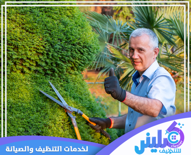 شركة تنسيق حدائق بالرياض