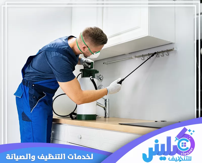 رش المبيدات داخل المطبخ بواسطة فني يستخدم خزان ضغط وأداة رش طويلة.