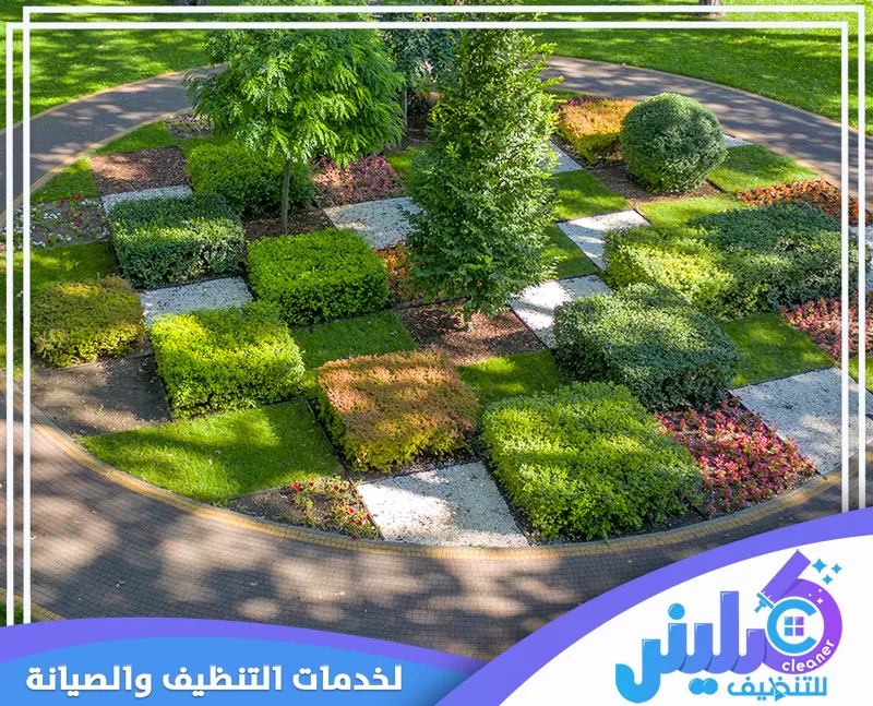 تصميم حديقة عصرية يجمع بين النباتات المتنوعة والممرات البيضاء