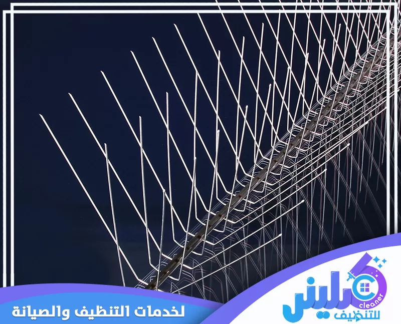 شركه طارد حمام بالرياض 0500892799 شركة كلينر تعرض الصورة فريق شركه طارد حمام محترف أثناء تركيب الطوارد على الأسطح، لضمان حماية المنازل من الحمام والطيور المزعجة بطريقة آمنة وفعّالة، مع نتائج دائمة.