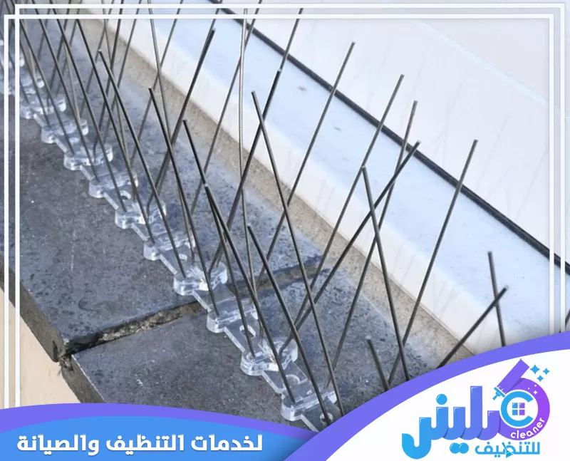 طارد الحمام من الشبابيك بالرياض 0500892799 شركة كلينر تعرض الصورة طارد الحمام من الشبابيك مركبًا بطريقة احترافية على النوافذ، لضمان حماية المنزل من الطيور المزعجة، مع الحفاظ على بيئة نظيفة وآمنة بشكل دائم وفعّال.