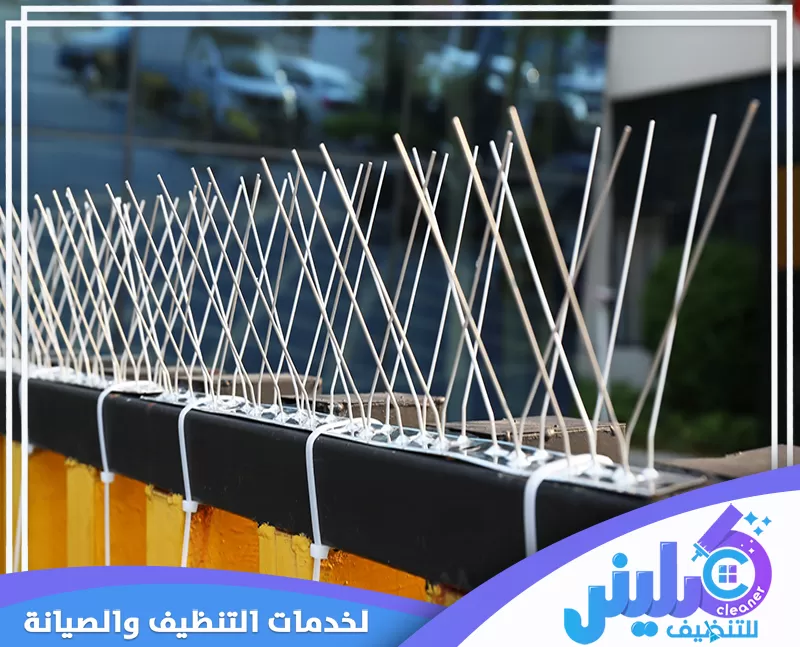 مكافحة الحمام بالرياض 0500892799 شركة كلينر تعرض الصورة مثالًا عمليًا لـ مكافحة الحمام باستخدام حلول حديثة تمنع الطيور من الوقوف على الأسطح، مما يحافظ على نظافة المنازل والمكاتب ويضمن بيئة صحية وآمنة.