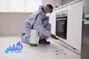 شركة مكافحة حشرات بمكة