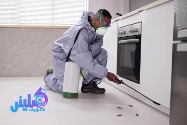 شركة مكافحة حشرات بمكة