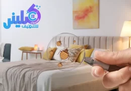 شركة مكافحة العته بجدة