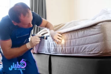 شركة مكافحة بق الفراش بالمدينة المنورة