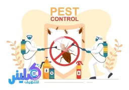 شركة مكافحة بق الفراش بجدة