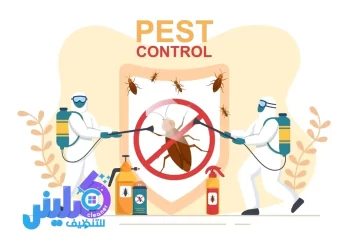 شركة مكافحة بق الفراش بجدة