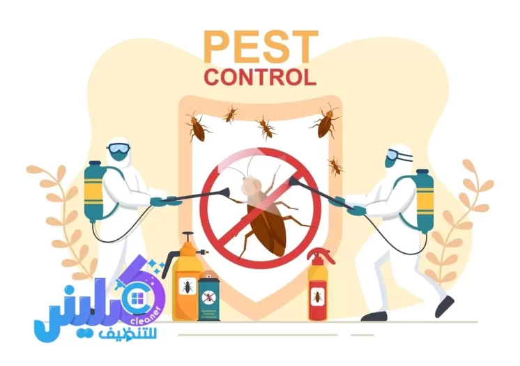 شركة مكافحة بق الفراش بجدة