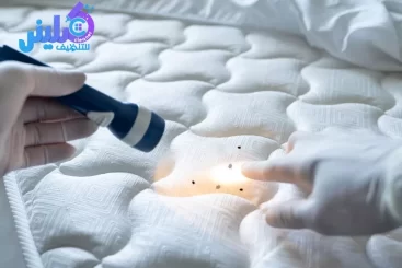 شركة مكافحة العتة بمكة