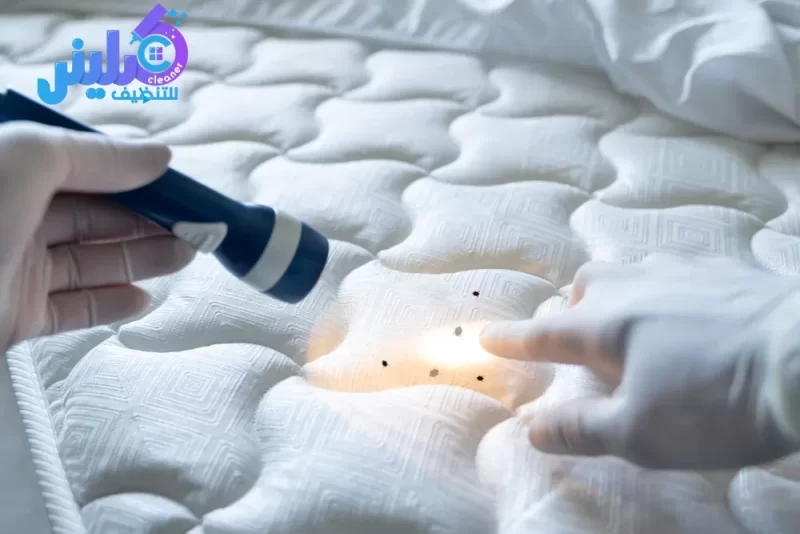 شركة مكافحة العتة بمكة