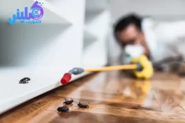 شركة مكافحة الصراصير بجدة خصم 40%