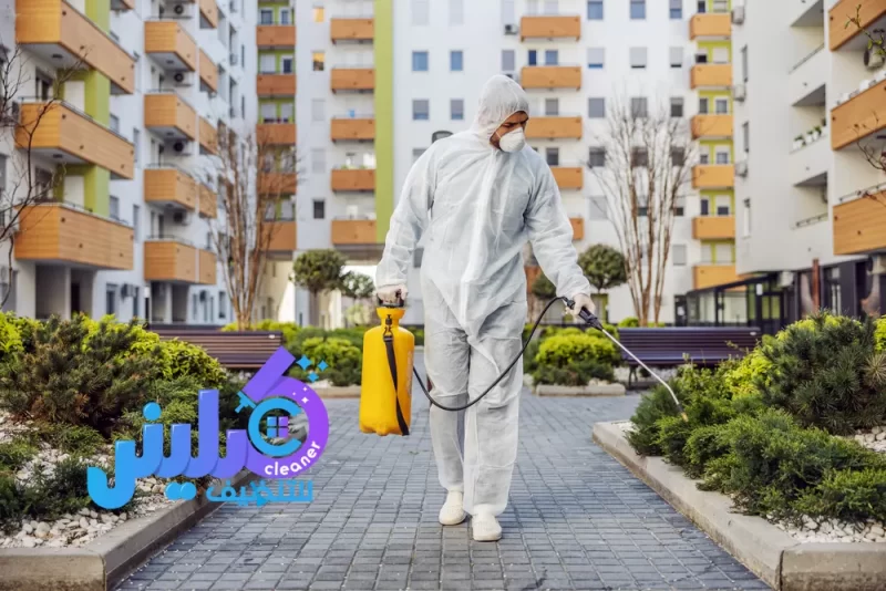 شركة مكافحة الفئران بالرياض خصم 30%