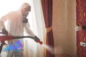 شركة مكافحة الصراصير بالمدينة المنورة