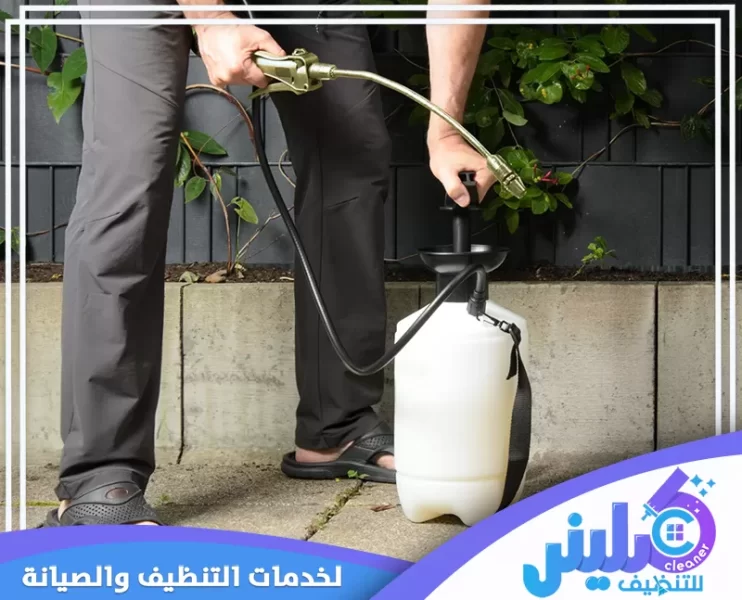 شركة مكافحة حشرات بالمدينة المنورة