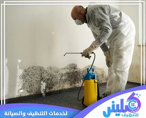 عملية معالجة العفن أو آثار الرطوبة التي يمكن أن تسبب نمو الفطريات والبكتيريا أو جذب حشرات الرطوبة. يقوم الفني برش محلول متخصص على مساحة كبيرة من الجدار المتضرر بالنمو الفطري الداكن. بالرغم من أن المكافحة تركز على الحشرات، فإن خدمات كلينر للصيانة تشمل معالجة المشكلات الأساسية التي تجذب الآفات.