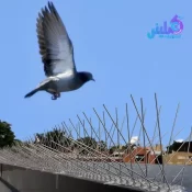 شركة مكافحة الحمام بجدة خصم 35%