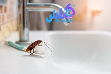 شركة مكافحة الصراصير بمكة خصم 35%