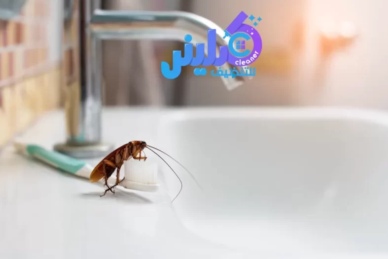 شركة مكافحة الصراصير بمكة خصم 35%