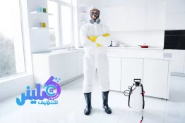 ما هو أفضل مبيد فعال للنمل الأبيض؟