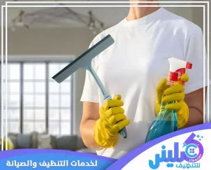 شركة تنظيف فلل في دبي