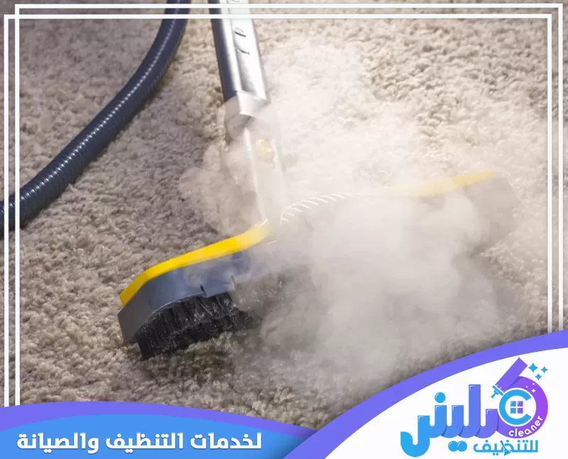 Abha Cleaning villas