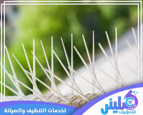 شركة تركيب طارد حمام بابها 0500892799 افضل شركات تركيب للحمام بابها أشواك طارد حمام ستانلس ستيل مثبتة باحتراف على الحواف لمنع وقوف الطيور، يمنح المبنى حماية مستمرة.