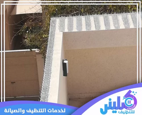 تركيب طارد حمام بتبوك 0500892799 شركة كلينر حلول طاردة للحمام من خلال تركيب شبكة متينة على الأسطح الخارجية لحمايتها من الطيور.