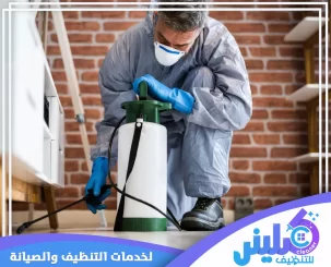 شركة مكافحة حشرات بالخرج