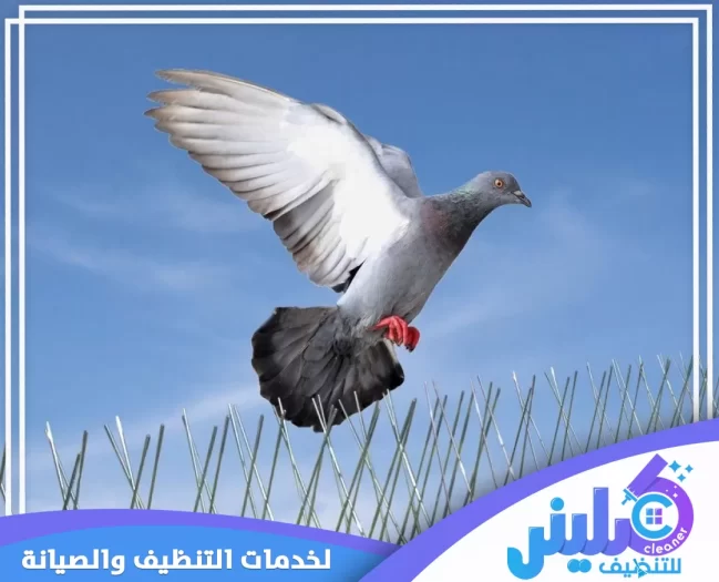 شركة تركيب طارد حمام بالخرج