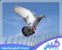 شركة تركيب طارد حمام بالخرج