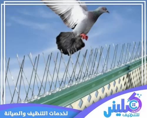تركيب طارد حمام بتبوك 0500892799 شركة كلينر تركيب شبكة طارد الحمام بدقة عالية لمنع تواجد الطيور وضمان بيئة نظيفة وآمنة