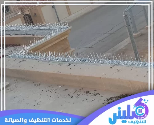 تركيب طارد حمام بتبوك 0500892799 شركة كلينر طارد الحمام المثالي للأسطح الواسعة لضمان منع الطيور وحمايتها من الأضرار.
