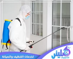 شركة مكافحة حشرات بتبوك