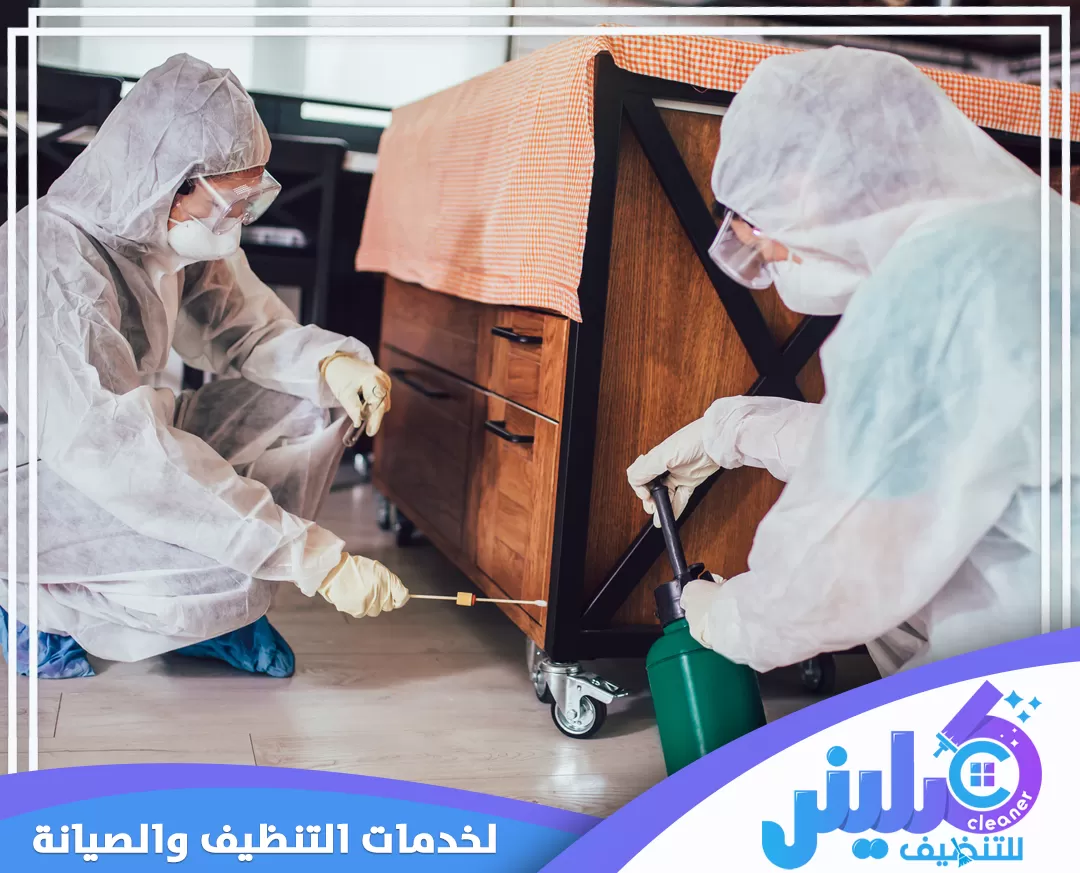 مكافحة حشرات المنزل بابها 0500892799 شركة كلينر استخدام تقنيات رش المبيدات المتخصصة لضمان مكافحة فعّالة وآمنة للحشرات في المنازل.