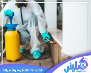 شركة مكافحة حشرات بابها
