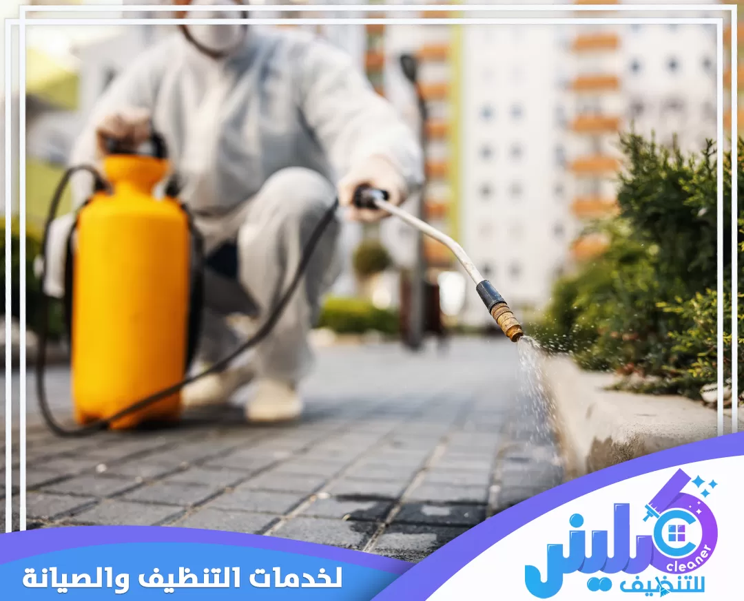 رش المبيدات الحشرية بابها 0500892799 شركة كلينر رش المبيدات في المناطق الخارجية للتخلص من الحشرات والآفات بشكل فعال داخل المساحات المفتوحة.